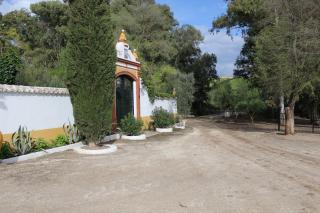 Finca la Sabina, Olvera - Pruna - 6