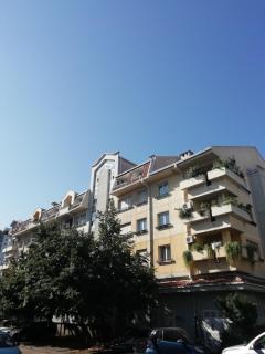 Dandelion - Belgrado - 1