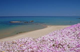 Hotel Residence Ampurias - Castelsardo - 4