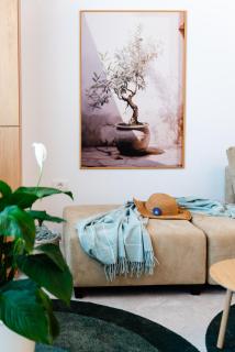 Olive Tree Residence with Parking 3 Minutes Walk to the Beach - Mamaia Nord – Năvodari - 8