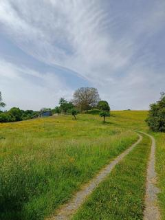 La Daubinière - - 2