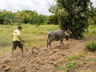 El Trinidad Organic Farm - El Nido - 8