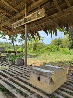 El Trinidad Organic Farm - El Nido - 3