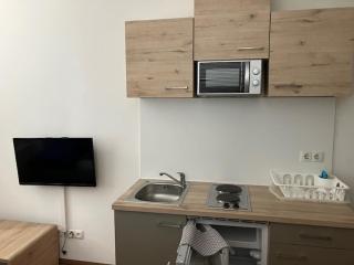 Appartmentvermietung Moskovic - 4