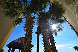 Romar House - Orange Beach - 9
