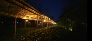 Sopo Resort - Duimukh - 8