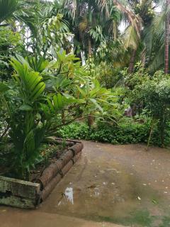 Bar Ang Guesthouse - Battambang - 8