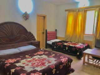 Skardu Baltistan Village Guest House - Skardu - 2