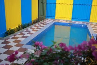 Cozy Nest Wayanad - Wayanad - 8