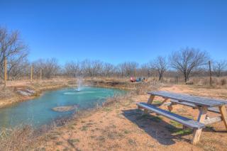 Selena-Romantic Tiny Home-Firepit - Fredericksburg - 3