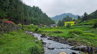 Freebird Nest Retreat - 7