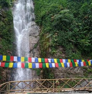 The Pines' Heaven - Kalimpong - 4