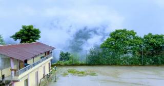 The Pines' Heaven - Kalimpong - 7