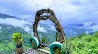 The Pines' Heaven - Kalimpong - 6