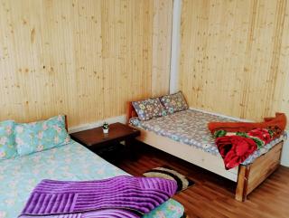 The Pines' Heaven - 3