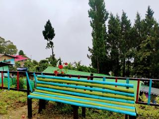 The Pines' Heaven - 1