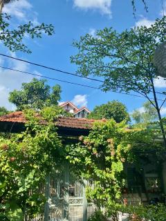 ký ức tươi đẹp homestay - Hue - 5