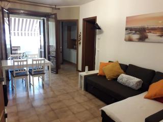 Apartament with terrace - Viareggio - 0