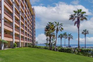 Sonoran Sun - Puerto Peñasco - 1