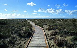 Apartament with terrace - Viareggio - 6