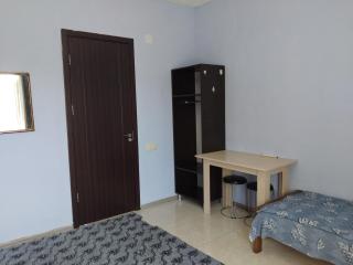 Natalia - Bagrationi St # 42 - Koboeleti - 5