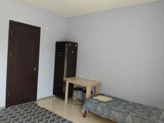 Natalia - Bagrationi St # 42 - Koboeleti - 7