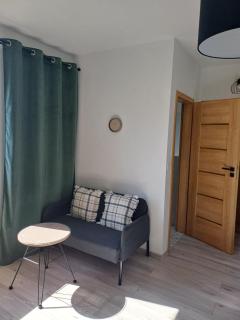 Śpij w Kudowie Apartament i pokoje gościnne - Kudowa-Zdrój - 4