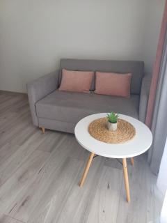 Śpij w Kudowie Apartament i pokoje gościnne - Kudowa-Zdrój - 9