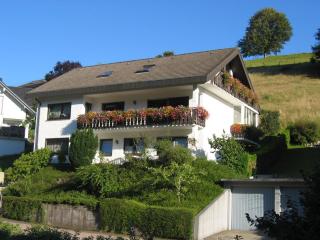 Haus Huber - Wolfach - 7