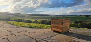 Auchenhill Lodge - 7