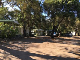 Camping Pezza Cardo - Porto-Vecchio - 2