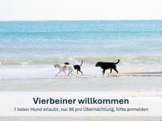 Korswandt Ostseebungalow B7-B8 - Korswandt - 9