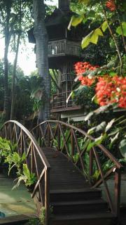 Green Tree House Villa Ubud - Ubud - 5