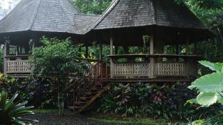 Green Tree House Villa Ubud - Ubud - 9