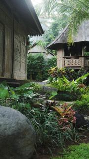 Green Tree House Villa Ubud - 6