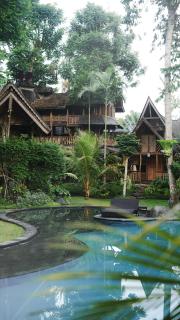 Green Tree House Villa Ubud - 4