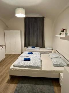 Cozy Budget Studio by F&S - Prag - 6