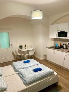 Cozy Budget Studio by F&S - Prag - 9