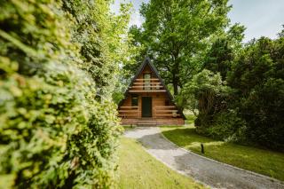 Ośrodek Wypoczynkowy Nad Leśną Wodą -  - 4