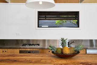 #16 Tallow Sands - Tawny Frogmouth - 5