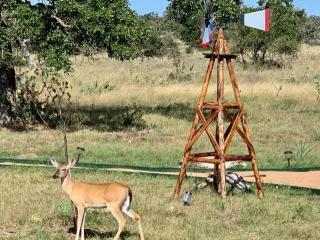Stargazing Retreat at Lone Star Cottage - Tivydale - 6