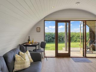 Dartmoor View Log Cabin near North Molton - North Molton - 9