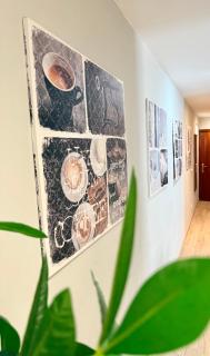 Vive Zaragoza XIV - Saragozza - 9