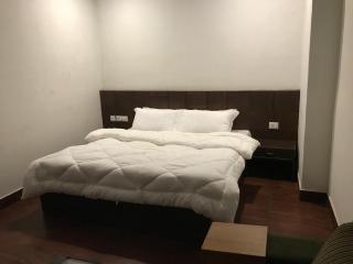 Hotel Rajmahal Inn - Gurgaon - 2
