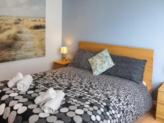 Dolphin - Trearddur - 3