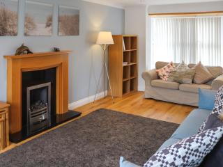 Dolphin - Trearddur - 7