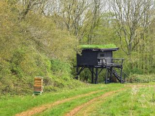 Wren - Uk50152 - Stalisfield - 3
