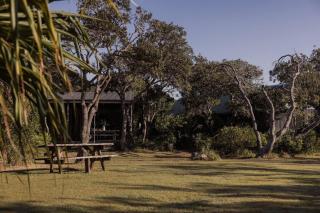 #17 Tallow Sands - Songbird - 5