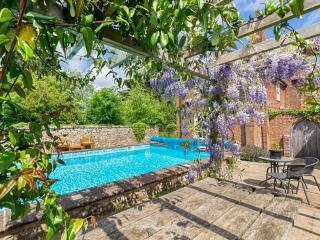 Wren - Uk50152 - Stalisfield - 5