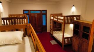 Sigiri Serenity Hostel - Sigiriya - 1